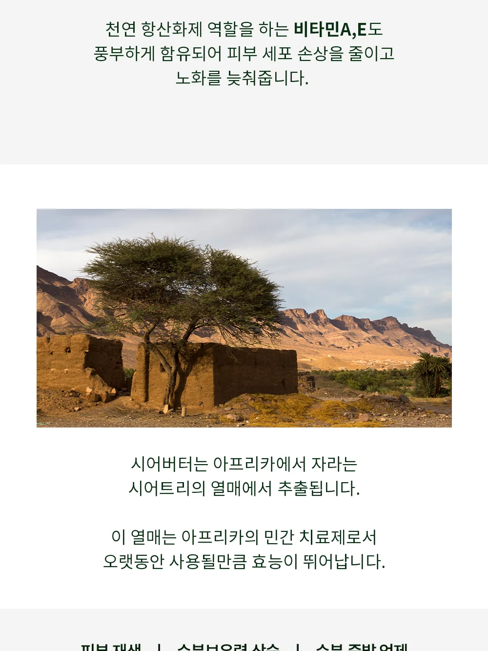 스킨볼릭 스킨올리브 리얼크림 상세페이지 11