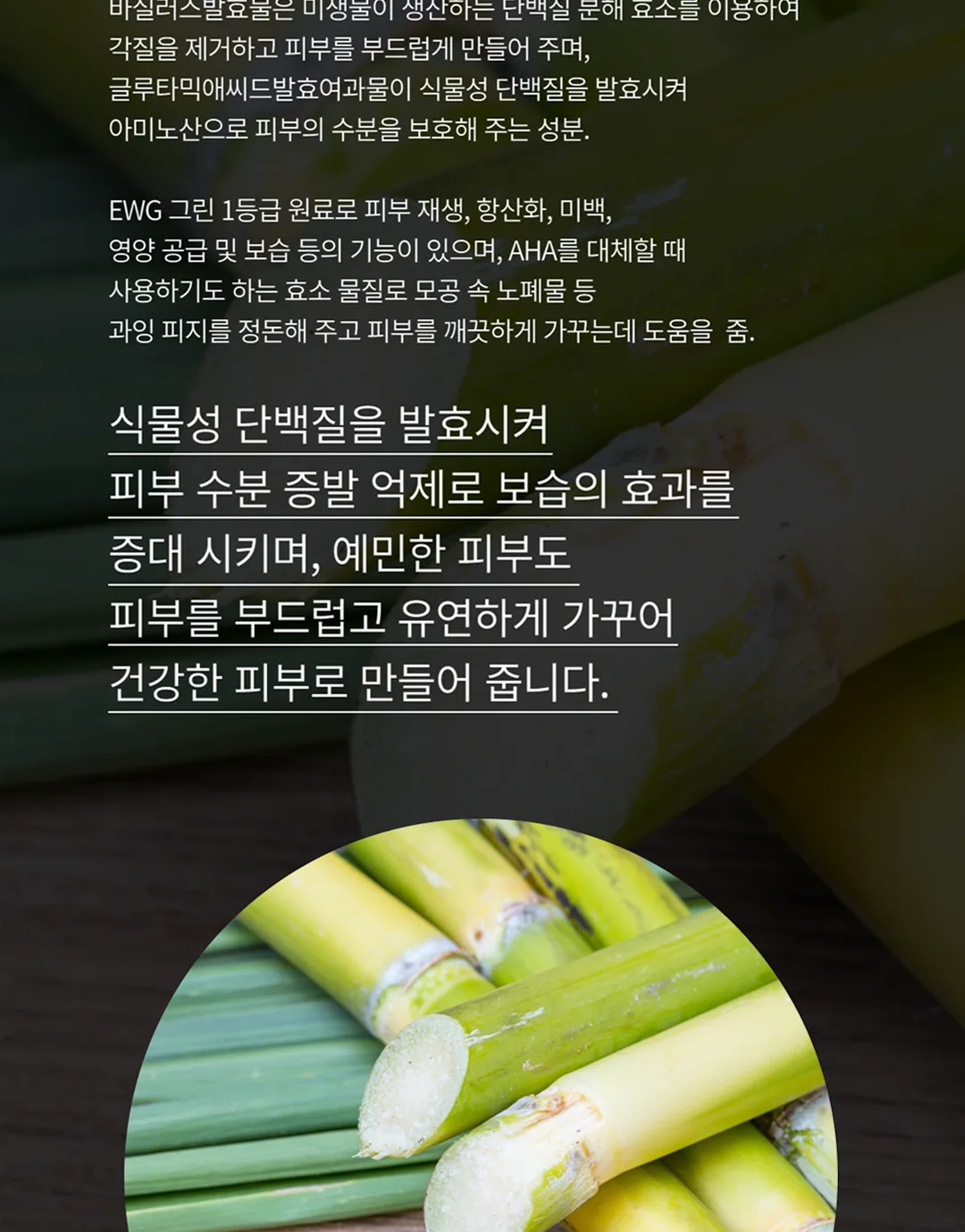 스킨볼릭 아쿠아플러스 크림 상세페이지 8