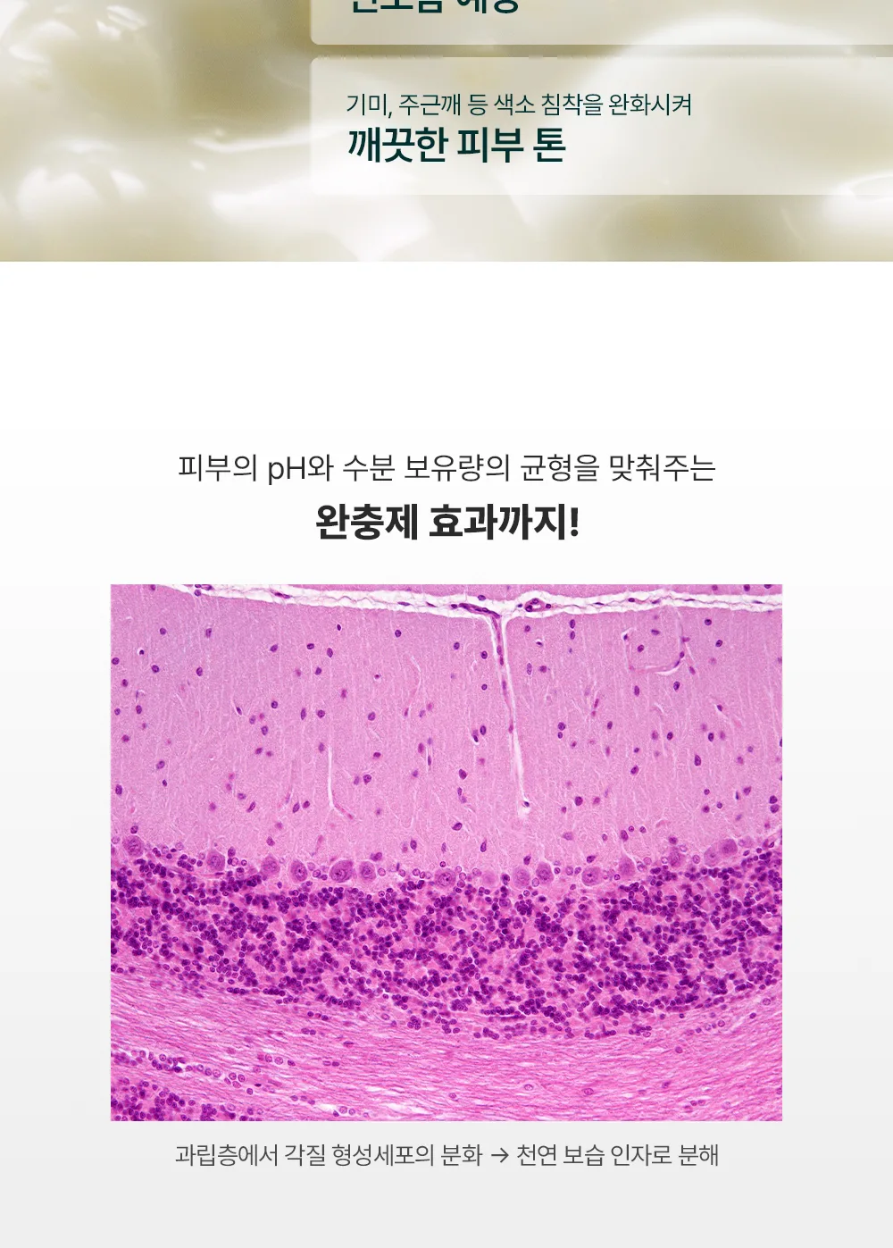 스킨볼릭 오엑스 폴리앙 상세페이지 8