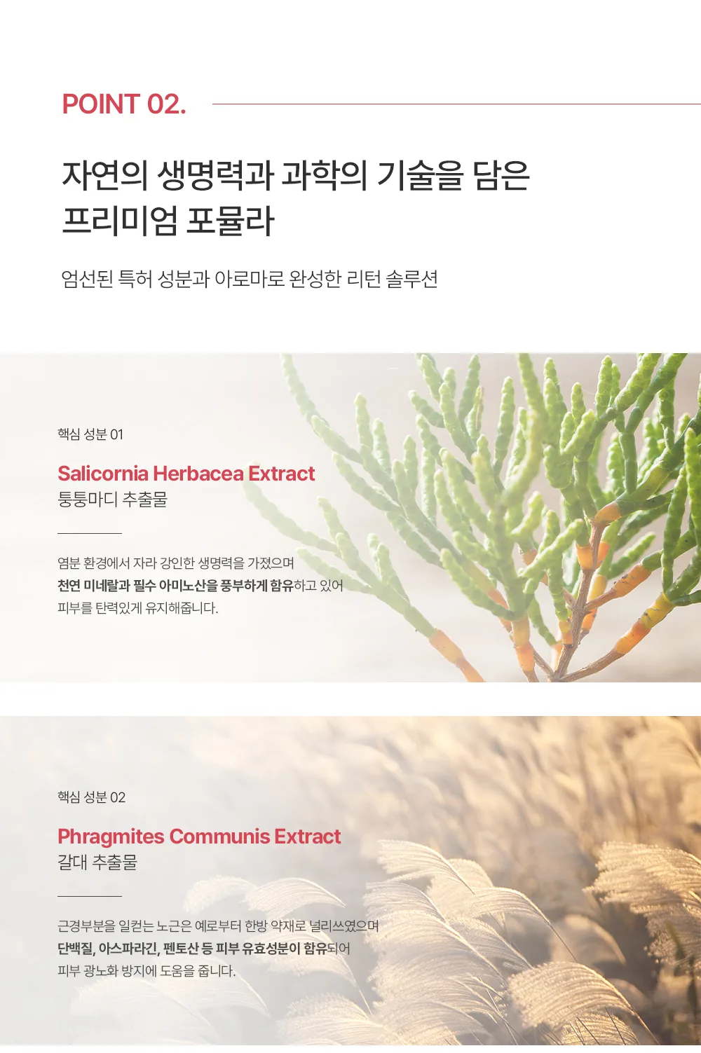 스킨볼릭 트리니티 리턴 앰플 상세페이지 5