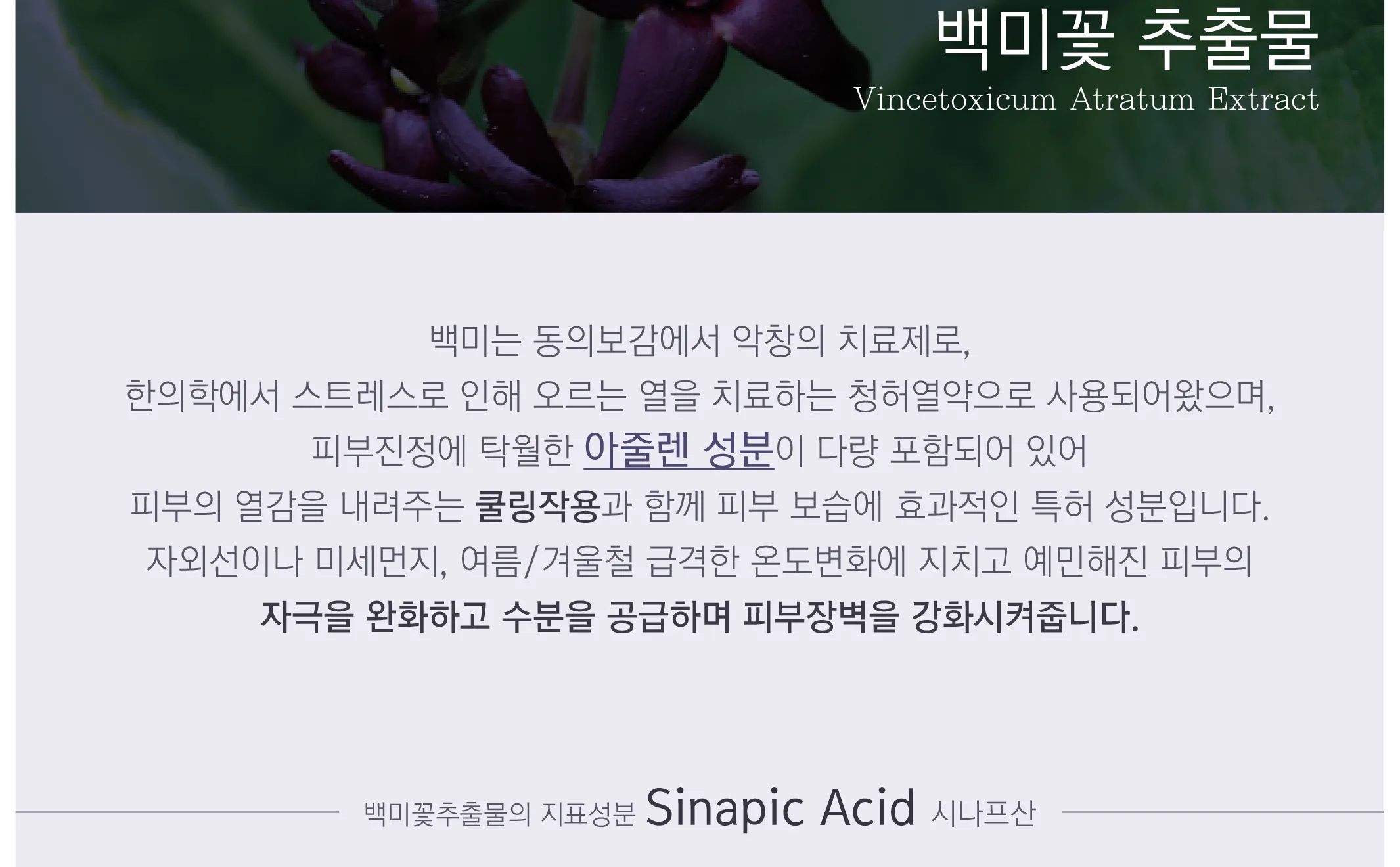 스킨볼릭 트리니티 카밍 앰플 2ml x 30pcs 상세페이지 7