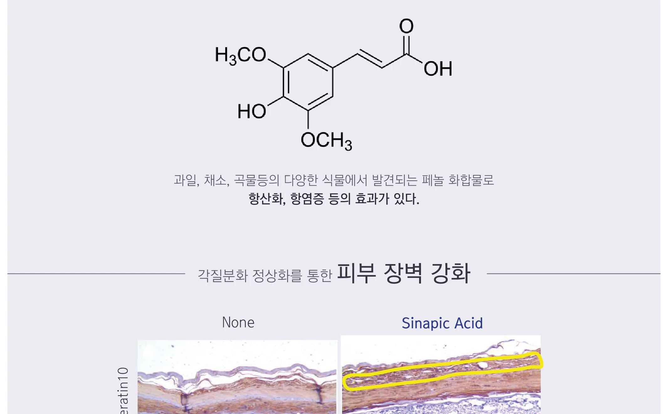 스킨볼릭 트리니티 카밍 앰플 2ml x 30pcs 상세페이지 8