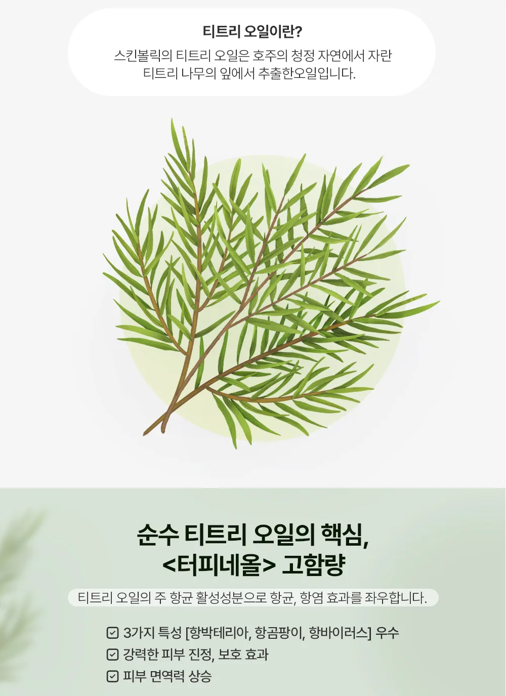 스킨볼릭 티트리 오일 상세페이지 7