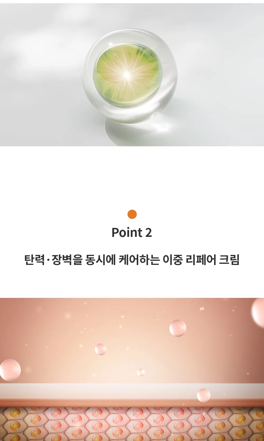 스킨볼릭 비타 디엑스 크림 50ml 150ml 상세페이지 4