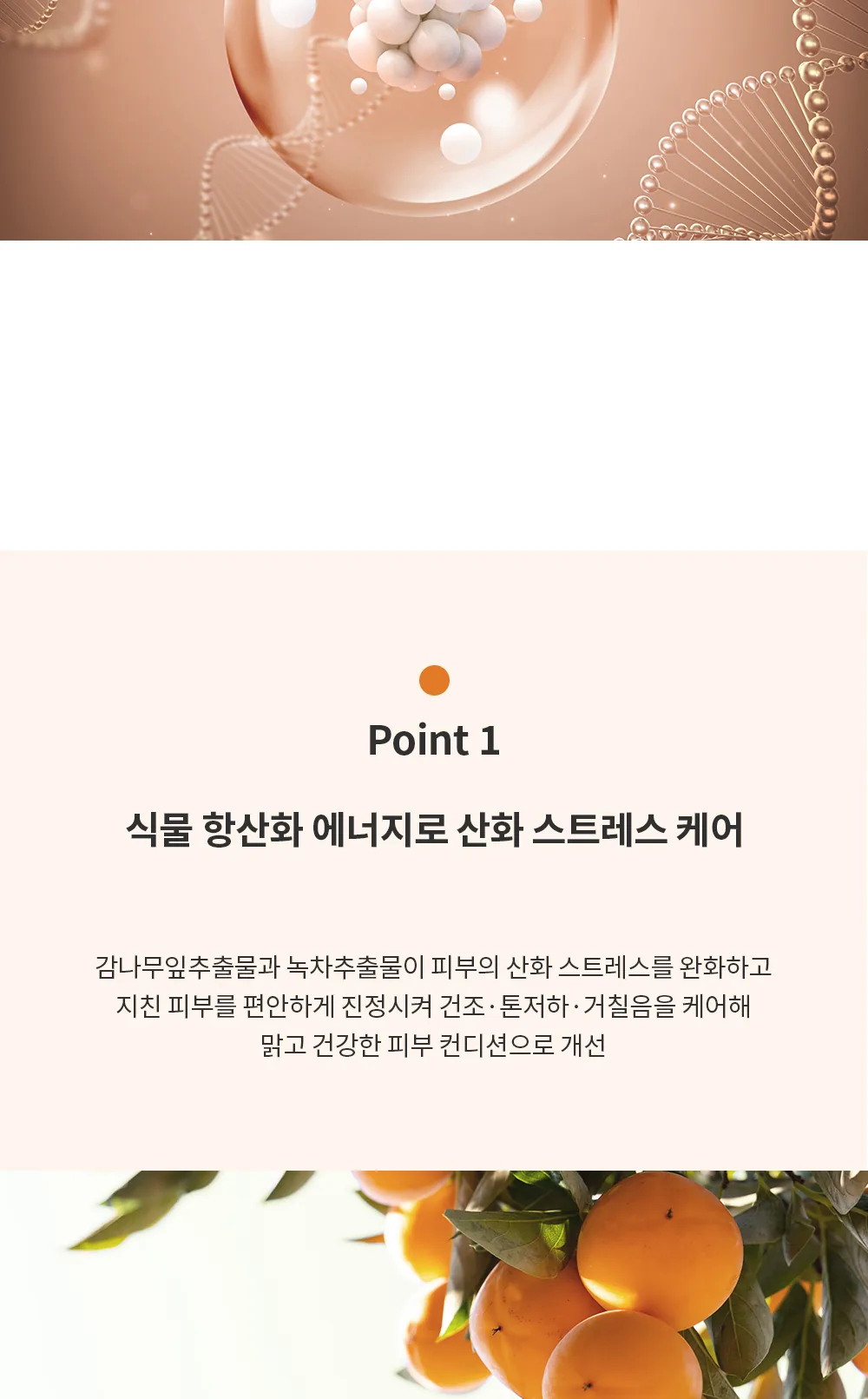 스킨볼릭 비타 디엑스 크림 50ml 150ml 상세페이지 7