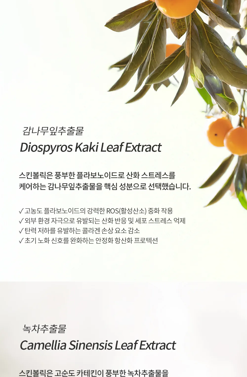 스킨볼릭 비타 디엑스 크림 50ml 150ml 상세페이지 8