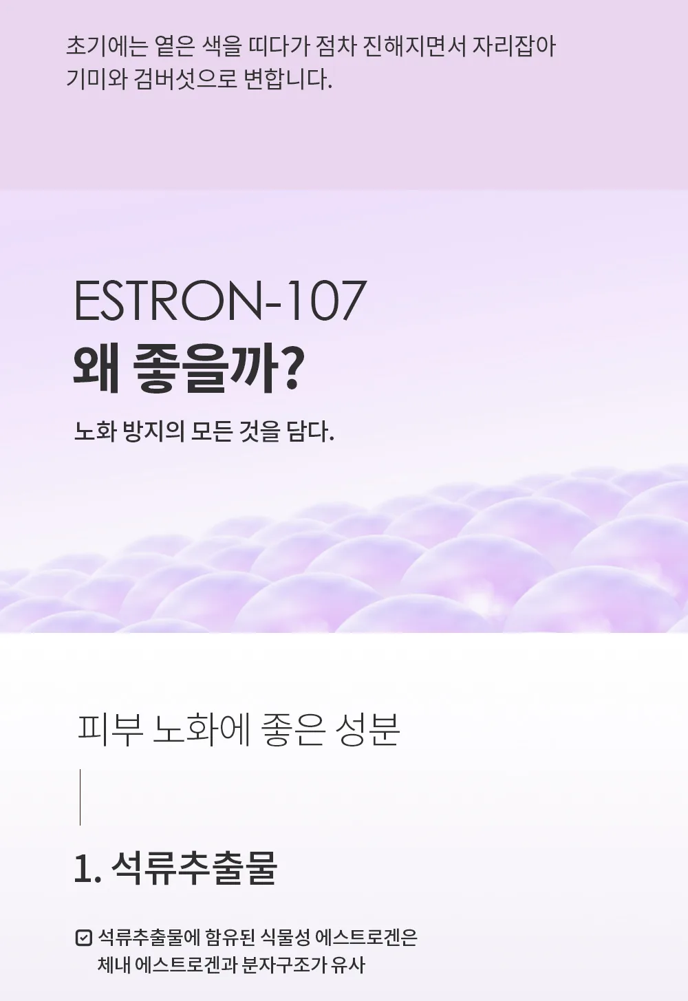스킨볼릭 에스론 107 키트 상세페이지11