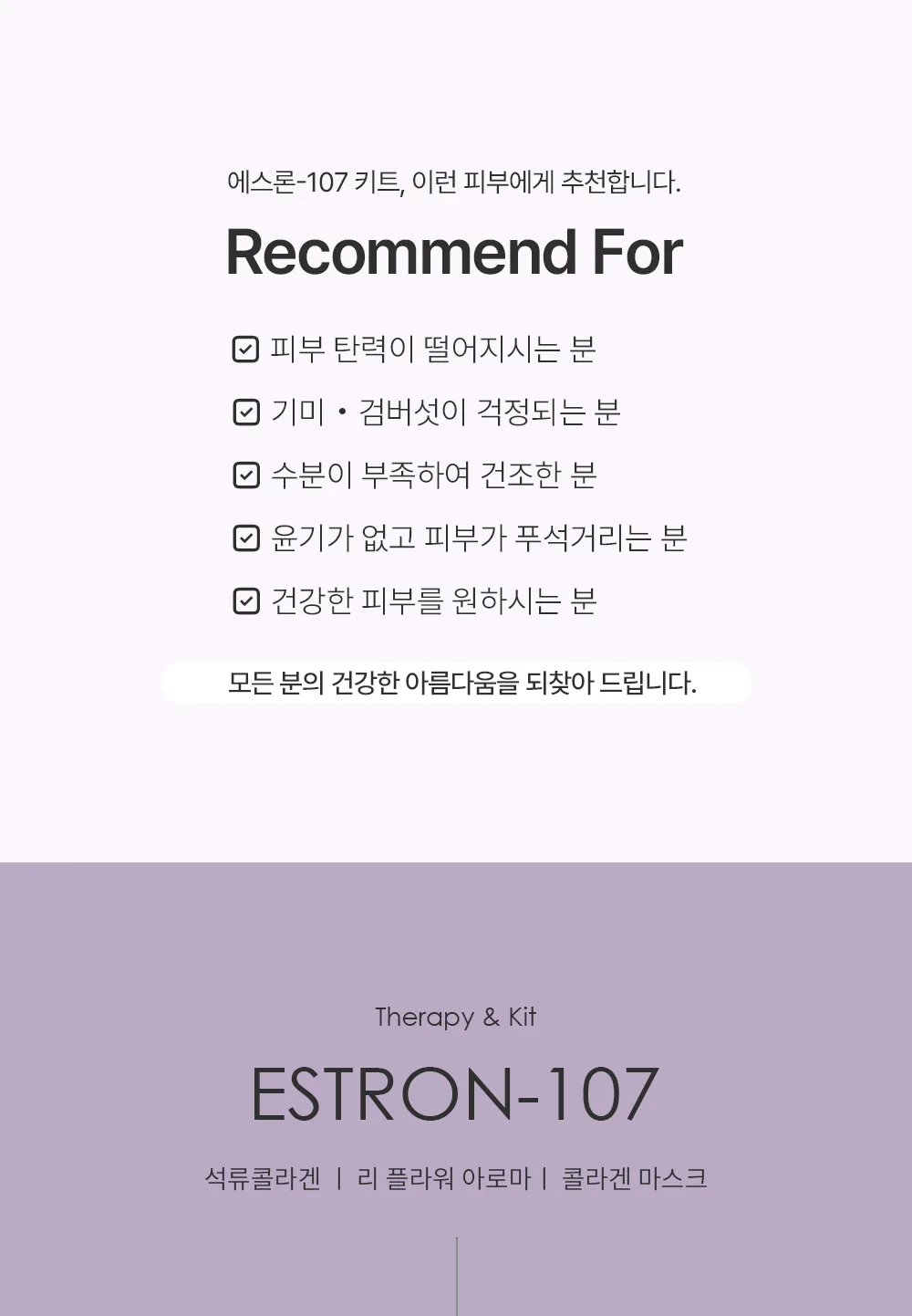 스킨볼릭 에스론 107 키트 상세페이지3