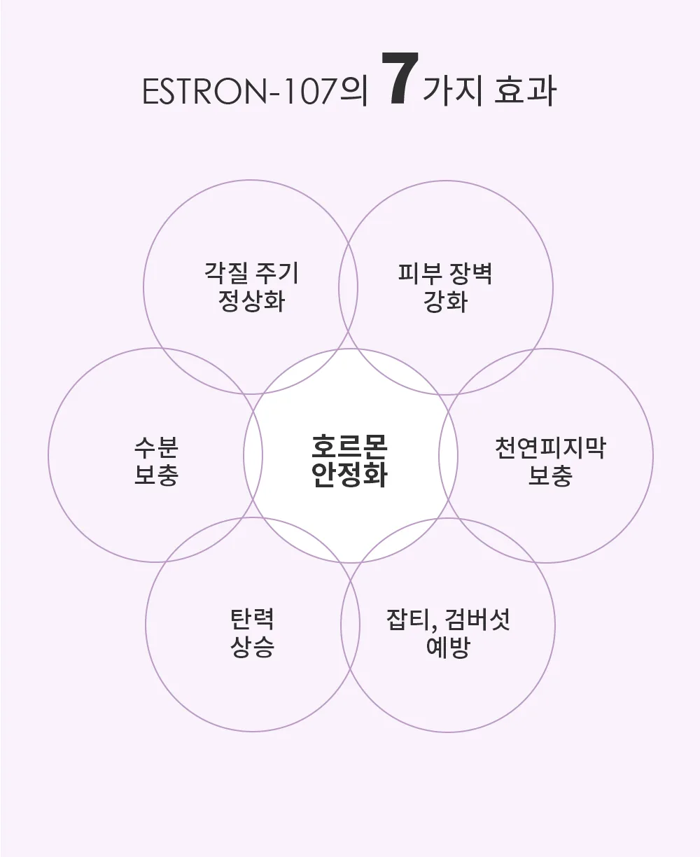 스킨볼릭 에스론 107 키트 상세페이지31