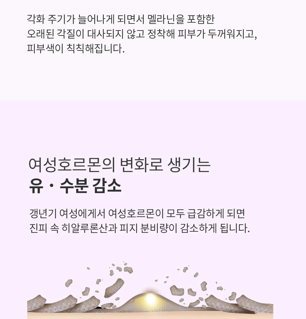 스킨볼릭 에스론 107 키트 상세페이지7