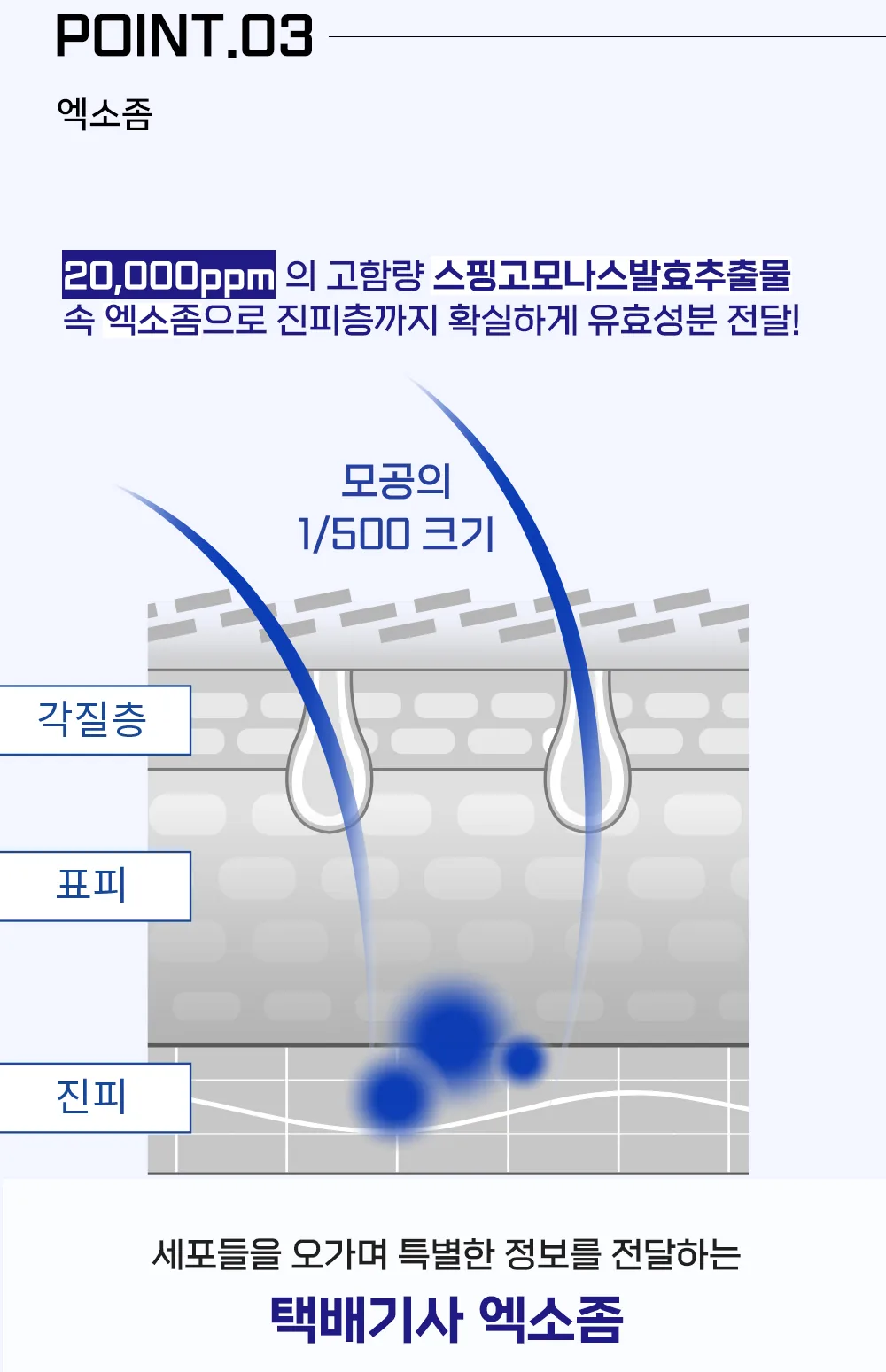 스킨볼릭 엑소 필 키트 10회분 상세페이지13
