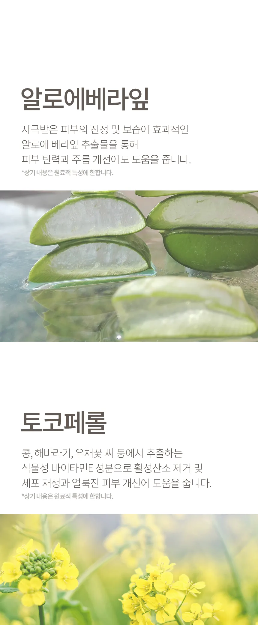 피히츠 폰더 틴트 BB크림 상세 이미지 6